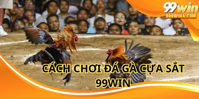 Cách chơi đá gà cựa sắt 99win cực dễ hiểu