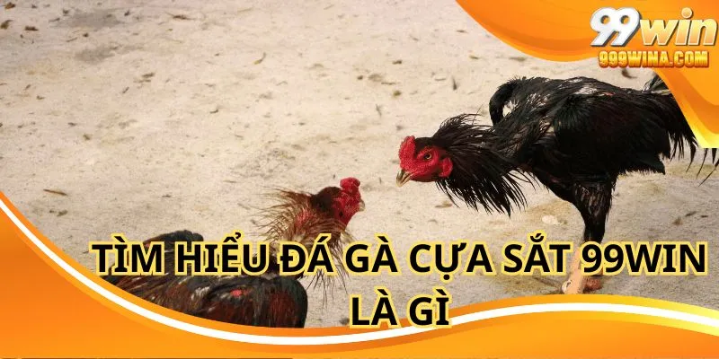 Đá gà cựa sắt 99win là game cá cược hot hiện nay