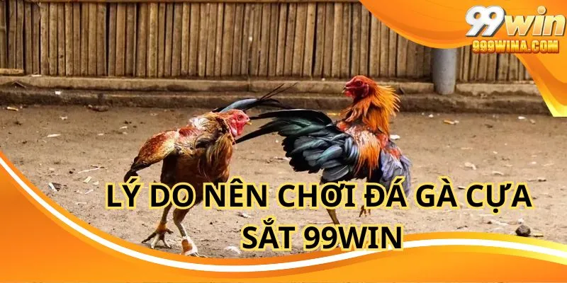 Đá gà cựa sắt 99win với truyền hình HD chất lượng cao