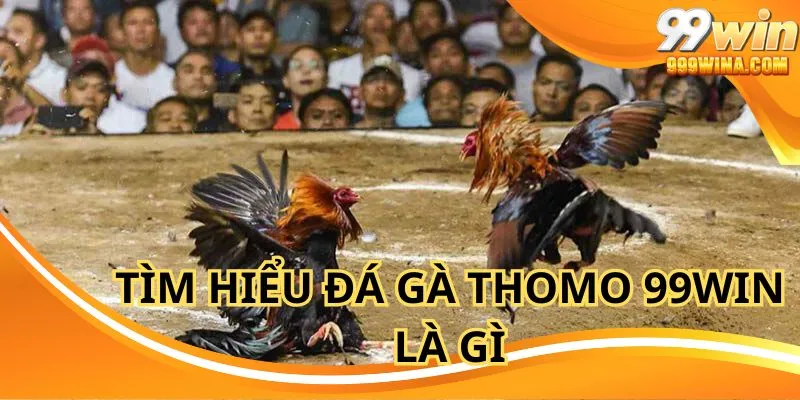 Đá gà thomo 99win là sân chơi giải trí được yêu thích