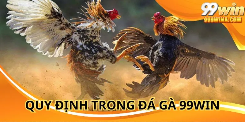 Quy định trong đá gà 99WIN thiết lập rõ ràng