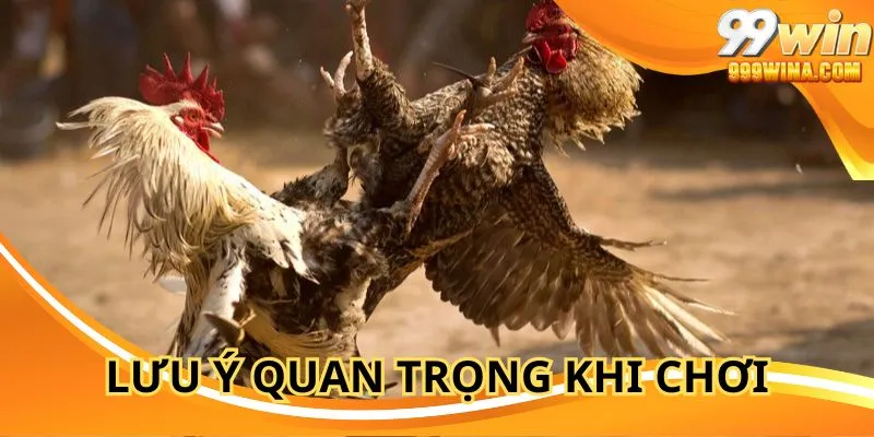 Yếu tố cần biết để tham gia đá gà 99WIN trọn vẹn